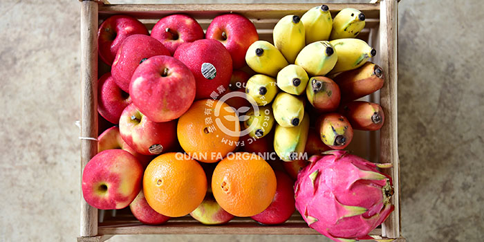 Fruits • 水果類 - 果物