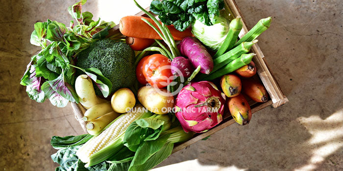 The Organic Boxes