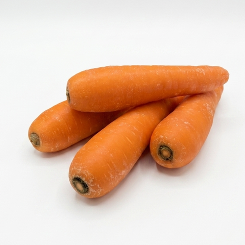 Organic Carrot (Australia) - 红萝卜 - ニンジン