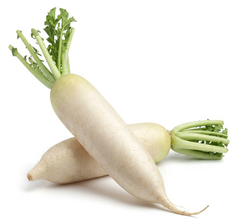 Organic White Radish, Daikon - 白萝卜
