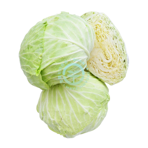 Quanfa Organic Imported Vegetables Cabbage
