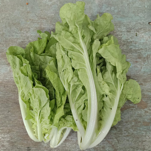 Organic Vegetable Local Leafy Cabbage