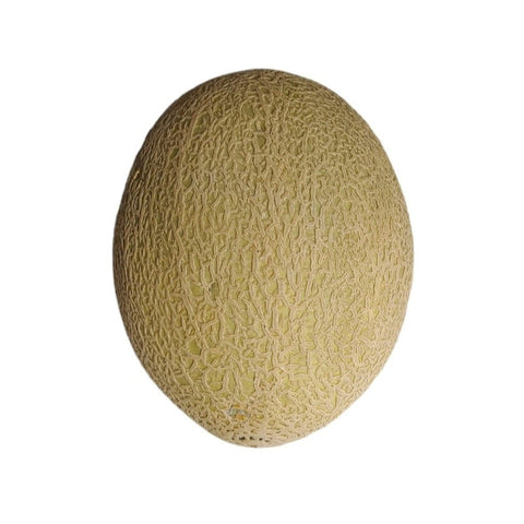 Organic Fruit Rock Melon
