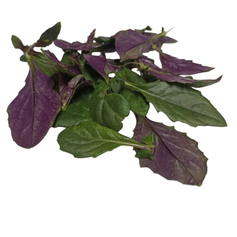 Fresh Bunches Of Organic Okinawan Purple Spinach