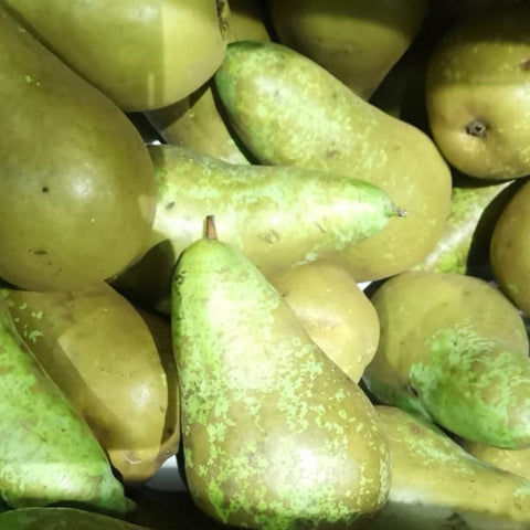Organic Fruit Pear