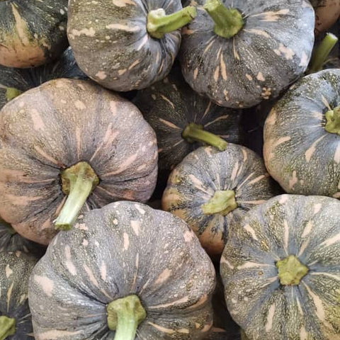 Quanfa Organic Imported Vegetables Pumpkin