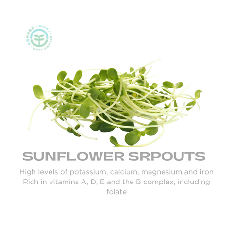 Organic Vegetable Sunflower Sprouts