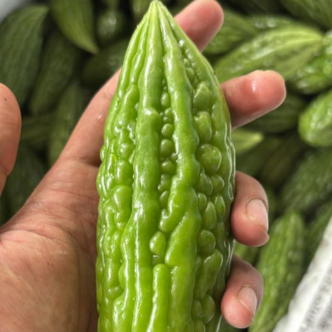 Quanfa Organic Imported Vegetables Bitter Gourds
