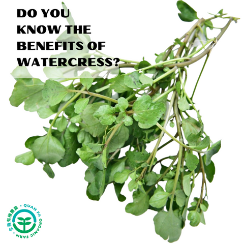 Organic Vegetable Watercress