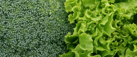 Fresh Organic Western Vegetables Including Broccoli And Greens.