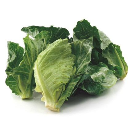 Quanfa Organic Leafy Vegetables Baby Cabbage