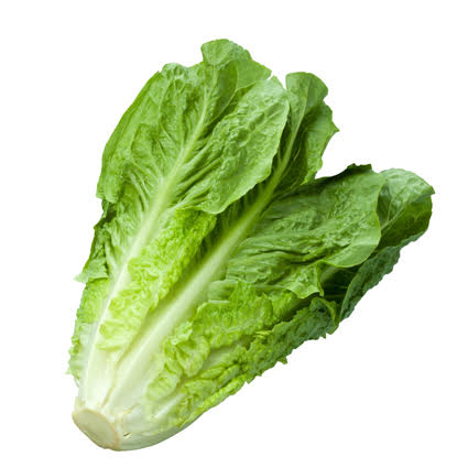 Quanfa Organic Leafy Vegetables Cos Lettuce