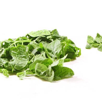 Organic Vegetable Emperor Sprout Leafy