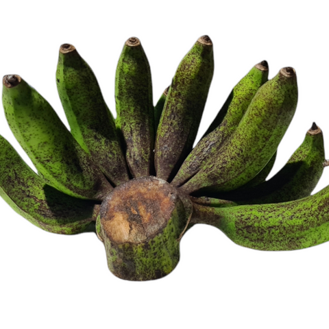 Organic-Fruits-Green-Bananas-Cavendish