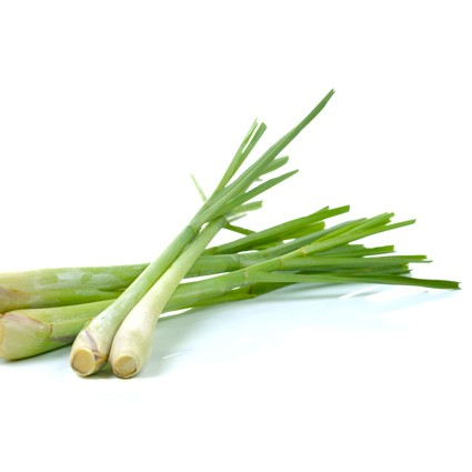 Quanfa Organic Lemon Grass
