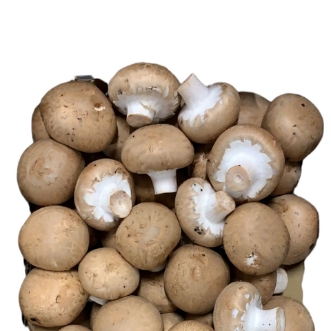 Organic Vegetable Brown Button Mushroom
