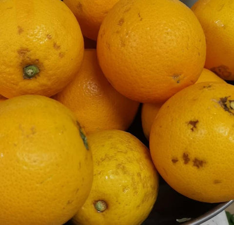 Organic Fruits Navel Orange