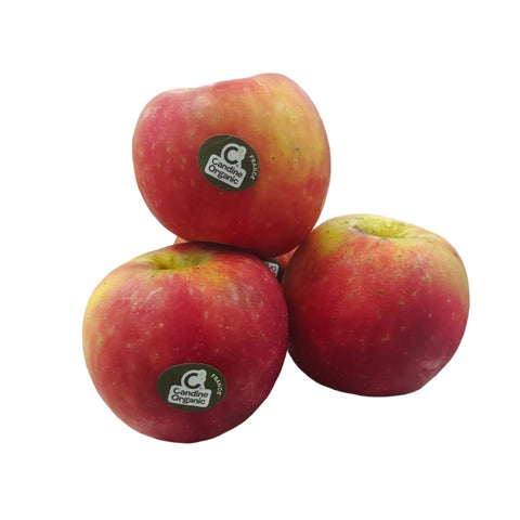 Organic Fruit Red Apple Candine