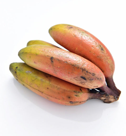 Organic Fruit Red Banana