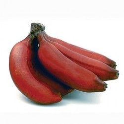 Organic Fruit Red Banana