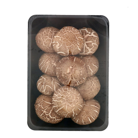 Quanfa Organic Mushroom Vegetables Shitake Mushroom