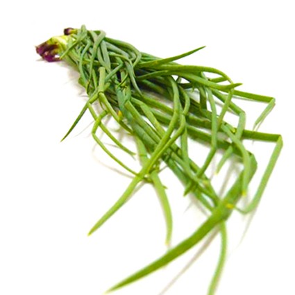 Quanfa Organic Spring Onion