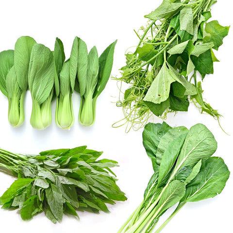 Quanfa Leafy Vegetable The Organic Farmer's Choice