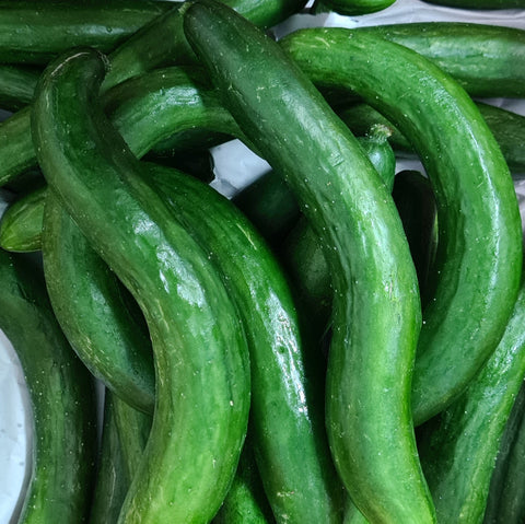Quanfa Organic Hardy Vegetables Japanese Cucumber