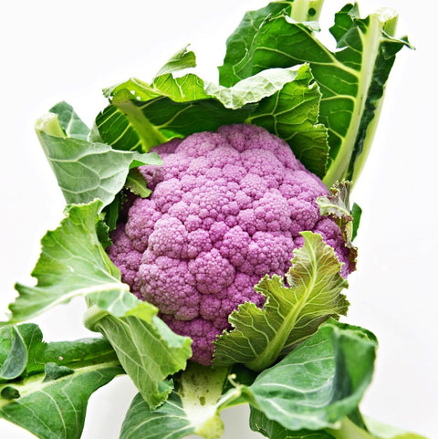 Quanfa Organic Imported Vegetables Cauliflower