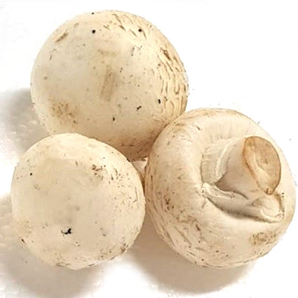 Quanfa Organic Mushroom Vegetables White Button Mushroom