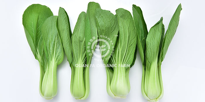 leafy vegetables • 叶菜 - 葉野菜