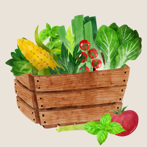 Organic Boxes and Bundles  • 有机蔬菜盲盒和超值组合