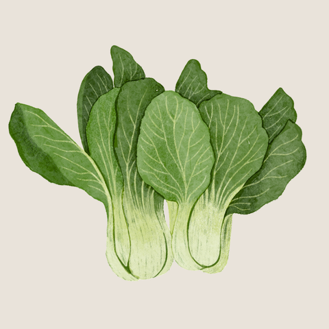 Organic leafy vegetables sold in Singapore