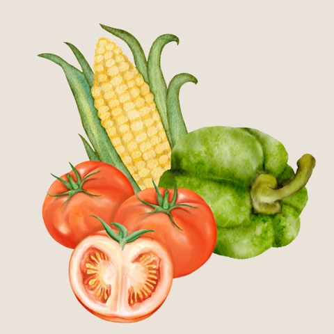 Organic Tomato, Capsicum, Corn • 有机番茄，甜椒，玉米