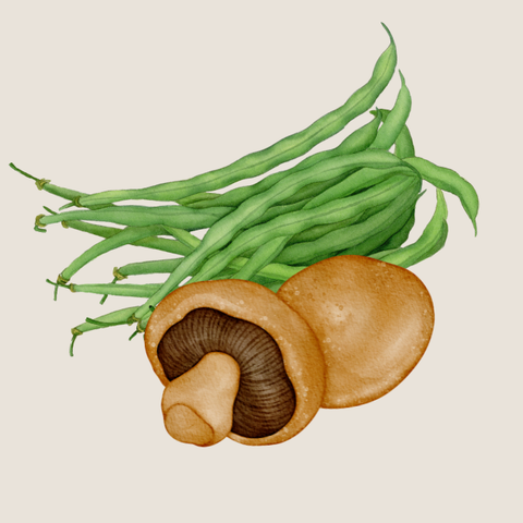 Organic Beans & Mushrooms • 有机豆类和蘑菇