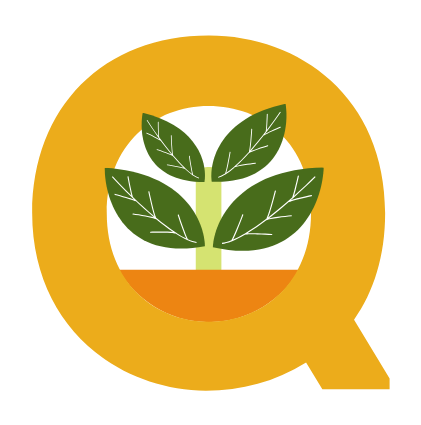 Quanfa Fresh Logo Icon Singapore