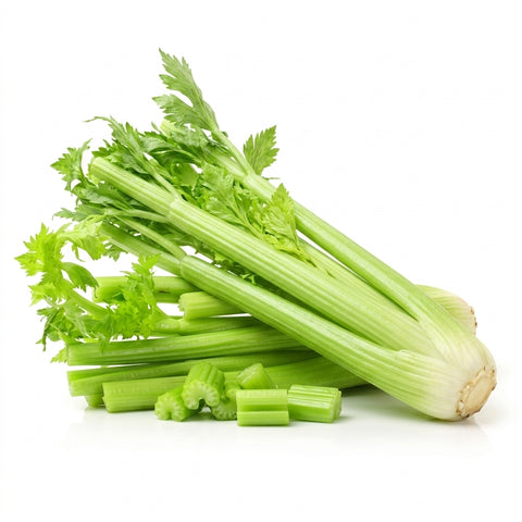 Organic Celery - 洋芹菜 - セロリ