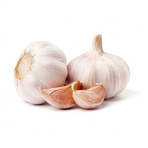 Organic Garlic - 蒜头 - ニンニク