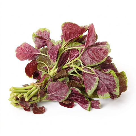 Organic Red Amaranth - 红苋菜 - 赤ほうれん草