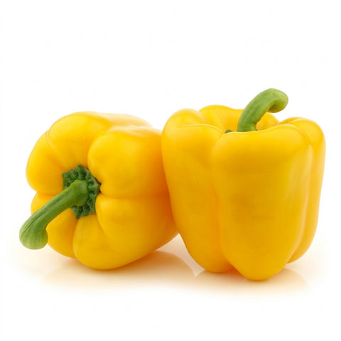 Organic Yellow Capsicum - 黄灯笼椒