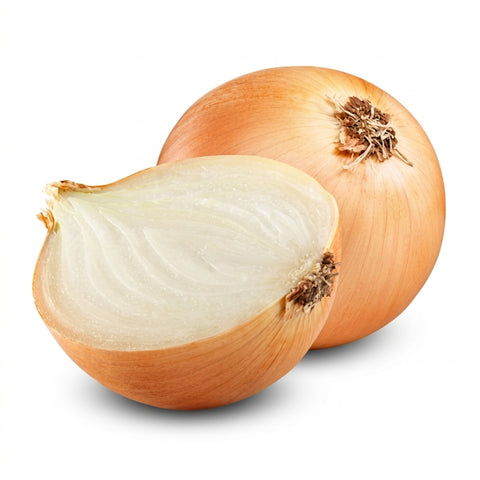 Organic Yellow Onion - 大洋葱 (黄) - タマネギ