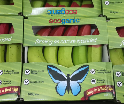Ecoganic Fruits Bananas
