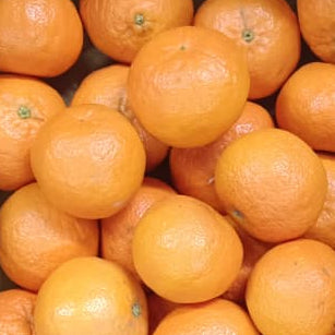 Close Up Of Fresh Whole Organic Oranges