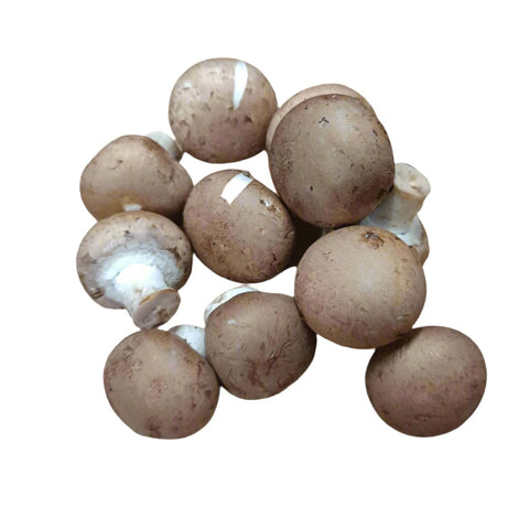 Organic Vegetable Brown Button Mushroom