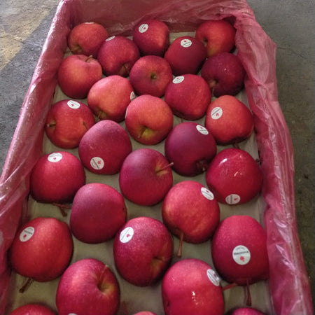 Organic Fruit Red Apple Gala