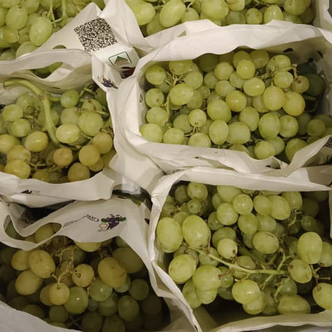Organic Fruit Green Grape