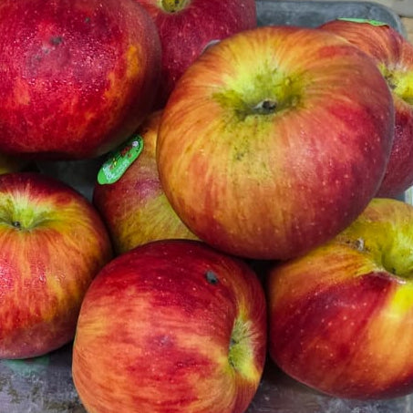Organic Fruit Juilet Red Apple