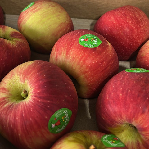 Organic Fruit Juilet Red Apple
