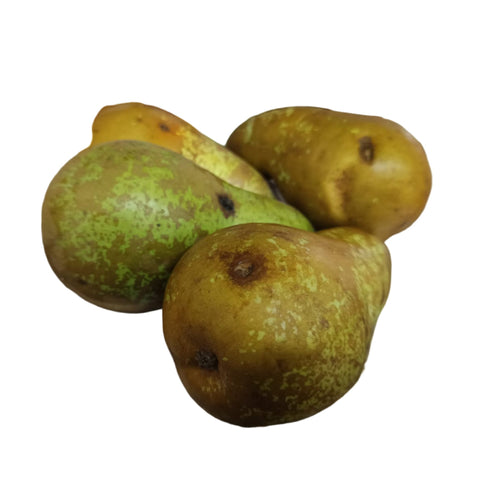 Organic Fruit Pear On White Background
