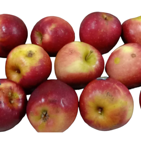 Organic Fruit Red Apple Sorted Blemish 